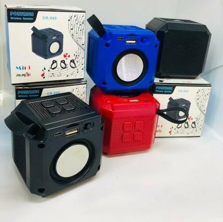 SPEAKER WIRELLES CR-X85